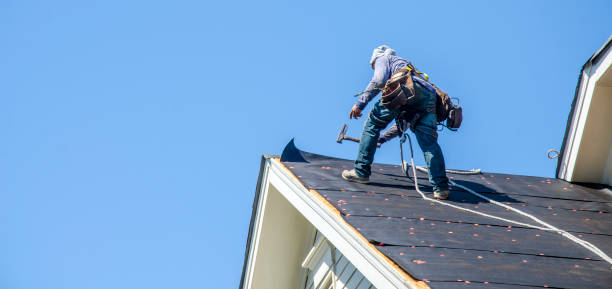 Best Roof Maintenance Services  in Basile, LA